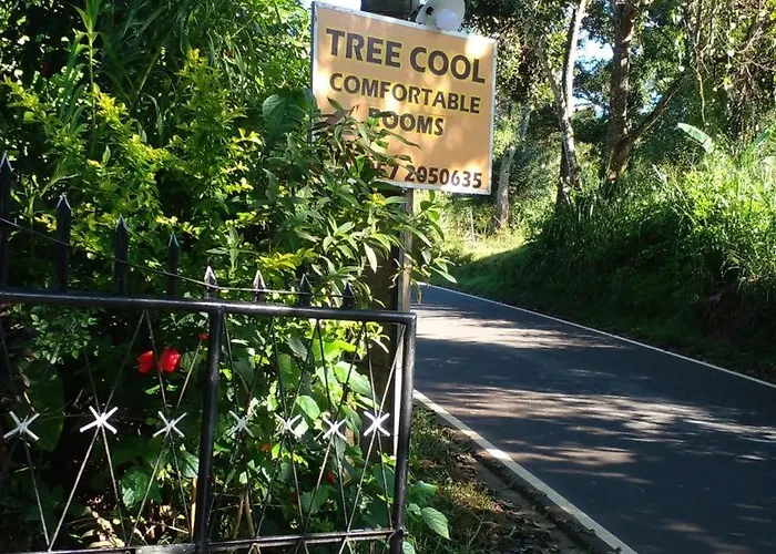 Tree Cool Resort