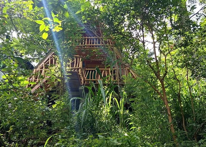 Eco Village