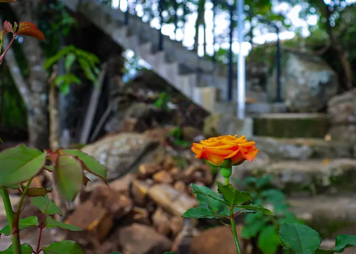 Rock N Fall Nature Resort