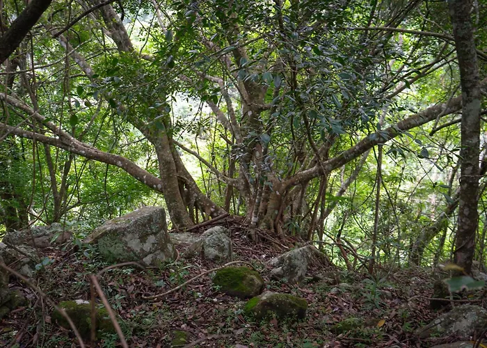 Rock N Fall Nature Resort