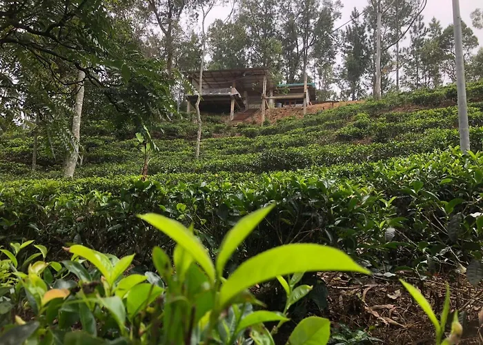 Ella 96TN Resort